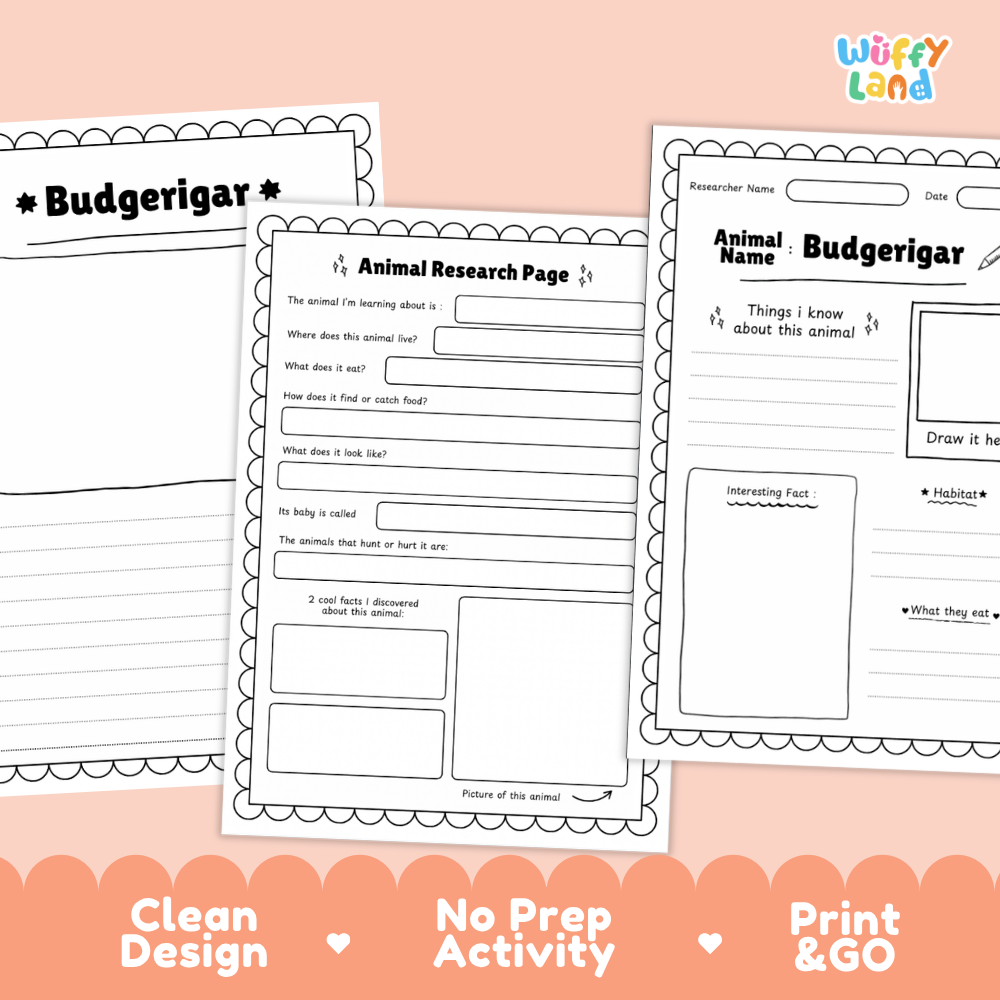 Three printable worksheet pages for an animal research activity are shown on a peach background, with the title 'Budgerigar' and a 'Wiffy Land' logo visible. The pages include fields for animal name, description, habitat, food, and interesting facts, plus decorative scalloped borders and promotional text at the bottom reading 'Clean Design', 'No Prep Activity', and 'Print & GO'.