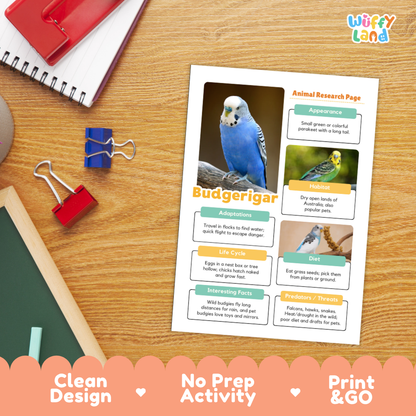 A printed educational poster about budgerigars laid on a wooden desk, surrounded by school supplies like a spiral notebook, binder clips, and a red folder. The poster has colorful text, photos of budgerigars, and a decorative pink banner at the bottom that reads 'Clean Design', 'No Prep Activity', and 'Print & GO'.