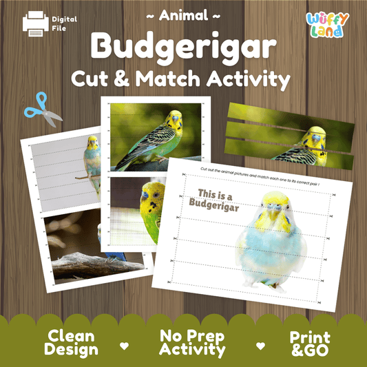 Budgerigar Cut and Match Activity Worksheets | Animal Puzzle Printables