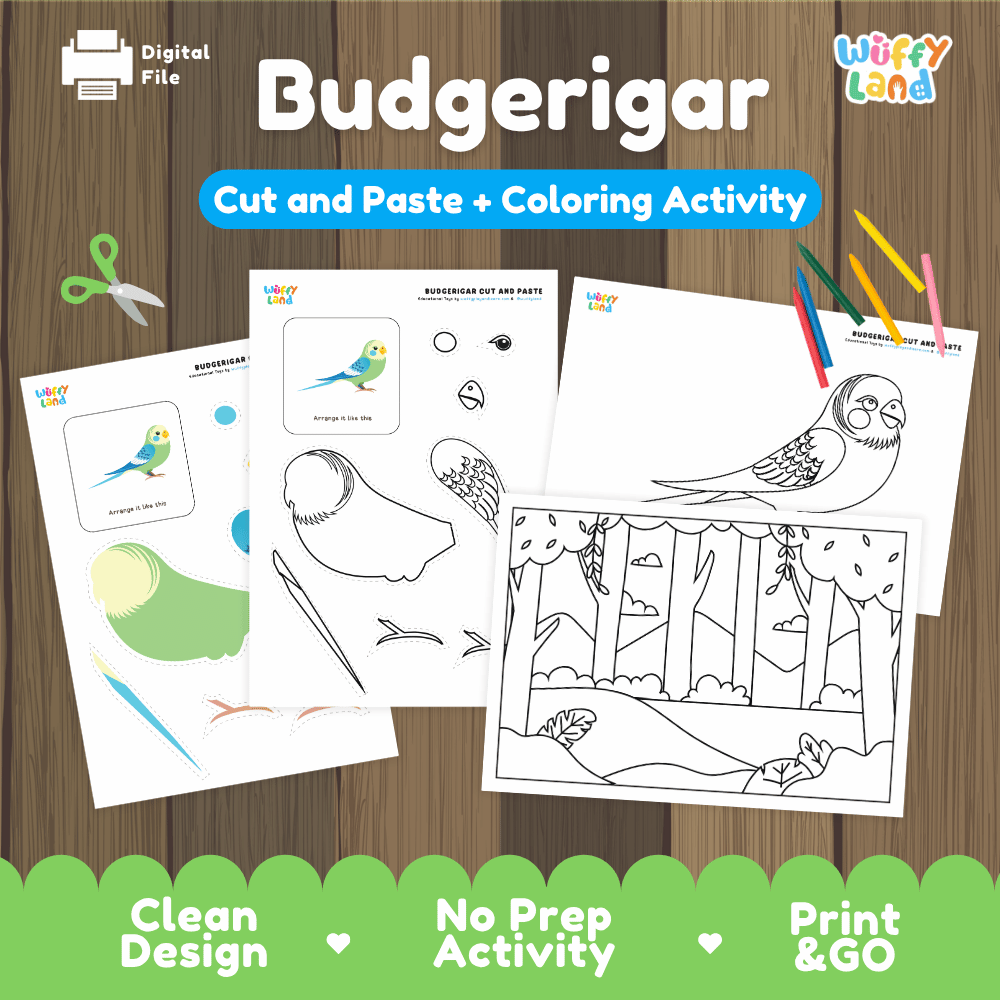 Budgerigar Cut and Paste Craft and Coloring Pages Activity Worksheets