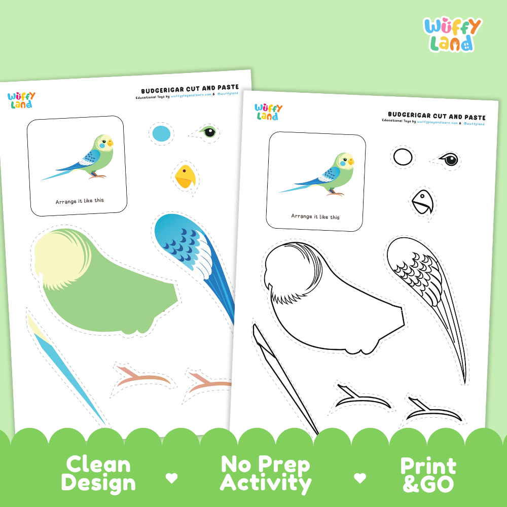 Budgerigar Cut and Paste Craft and Coloring Pages Activity Worksheets