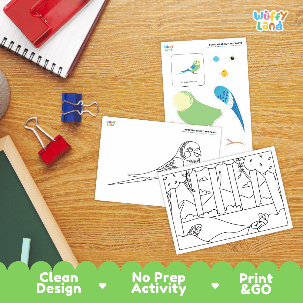 Budgerigar Cut and Paste Craft and Coloring Pages Activity Worksheets