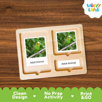 A wooden Montessori-style activity tray with two labeled slots reading 'Adult Animal' and a printed photo of a green bird in each slot, shown on a wood-grain background. A 'Wuffy Land' logo appears in the top right, and a green banner at the bottom reads 'Clean Design', 'No Prep Activity', and 'Print & GO'.