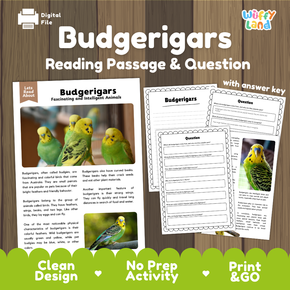 Digital reading activity bundle for 'Budgerigars' featuring a reading passage, comprehension questions, and an answer key, presented on a wood-grain background with promotional banners.