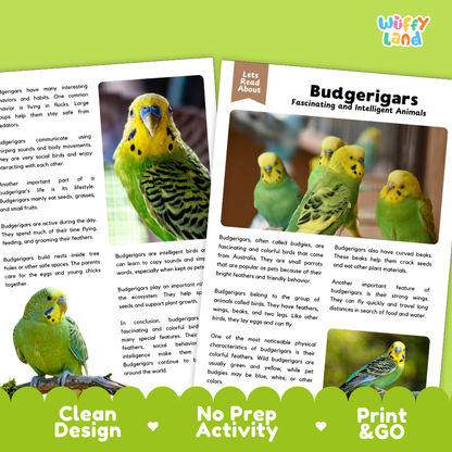 Budgerigars Reading Passage and Comprehension Questions Worksheets with Answer Key