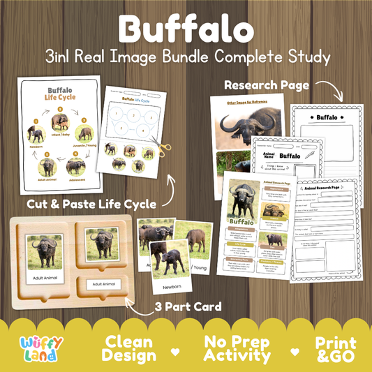 Buffalo 3-in-1 real image bundle complete study cover showing cut and paste life cycle, 3 part cards, and research pages