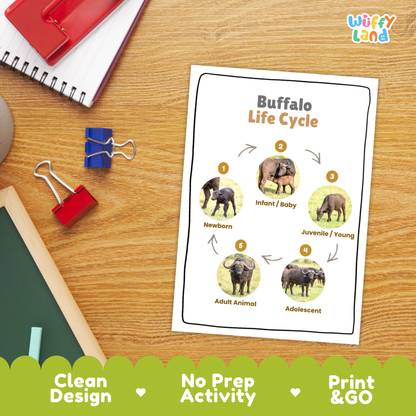 Hands-on buffalo life cycle cut and paste student worksheet with numbered circular slots and printable animal photo discs