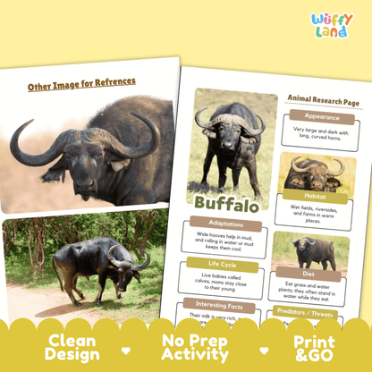 Two printed activity sheets for a buffalo animal research project, shown on a pale yellow background with a decorative yellow footer. The sheets feature buffalo photos and text sections for appearance, habitat, adaptations, life cycle, diet, and interesting facts.