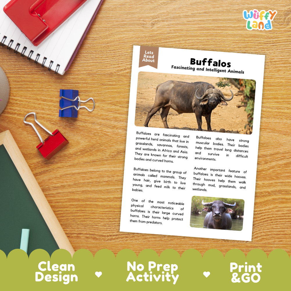 An educational reading activity sheet titled 'Buffalos: Fascinating and Intelligent Animals' laid out on a wooden desk with red and blue binder clips, a red notebook, and a pen. The sheet features text and photos of a buffalo.