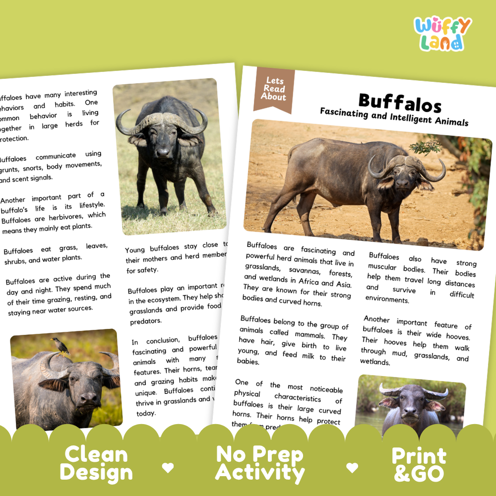 Three educational activity sheets about buffaloes arranged on a white background with decorative badges reading 'Clean Design,' 'No Prep Activity,' and 'Print & Go.' The sheets include text blocks, small photos of buffaloes, and activity panels.