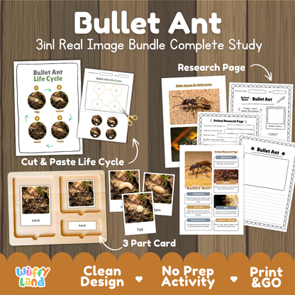 Bullet Ant 3-in-1 real image bundle complete study cover showing cut and paste life cycle, 3 part cards, and research pages