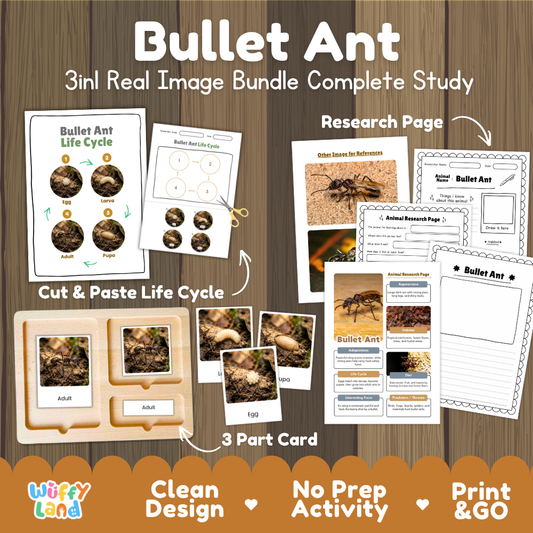 Bullet Ant 3-in-1 real image bundle complete study cover showing cut and paste life cycle, 3 part cards, and research pages