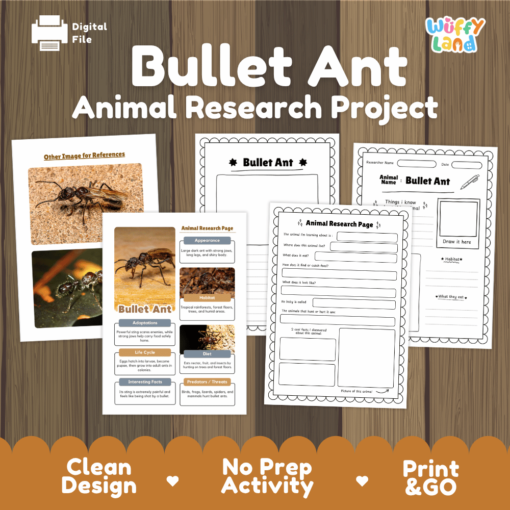 Bullet Ant Animal Research Project Worksheets and Fact Sheet Activity