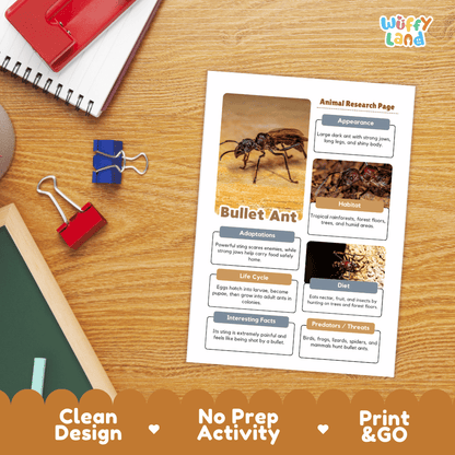 Bullet Ant Animal Research Project Worksheets and Fact Sheet Activity