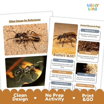 Bullet Ant Animal Research Project Worksheets and Fact Sheet Activity