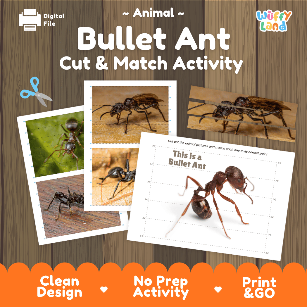 Bullet Ant Cut and Match Activity Printables Worksheets