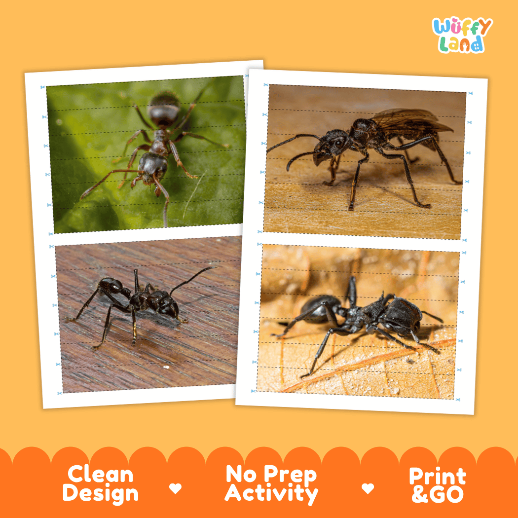Bullet Ant Cut and Match Activity Printables Worksheets
