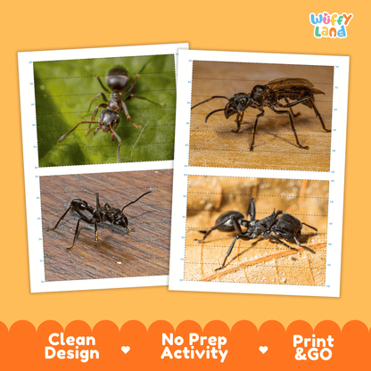 Bullet Ant Cut and Match Activity Printables Worksheets