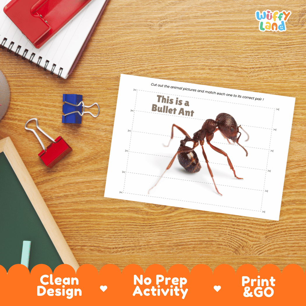 Bullet Ant Cut and Match Activity Printables Worksheets