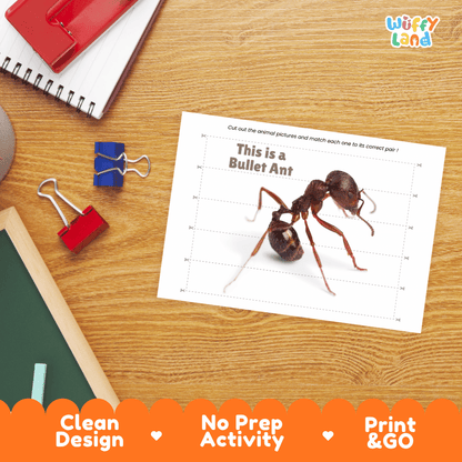 Bullet Ant Cut and Match Activity Printables Worksheets