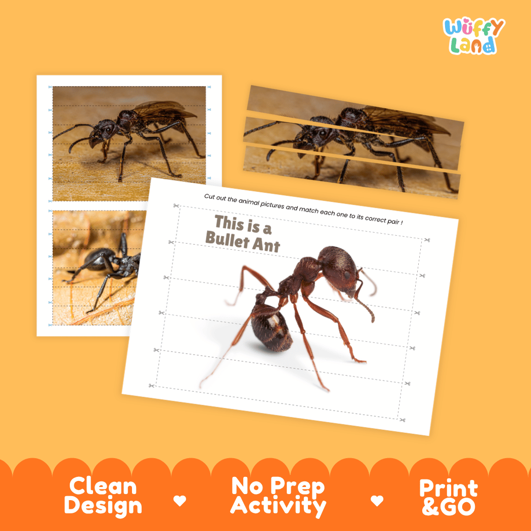 Bullet Ant Cut and Match Activity Printables Worksheets
