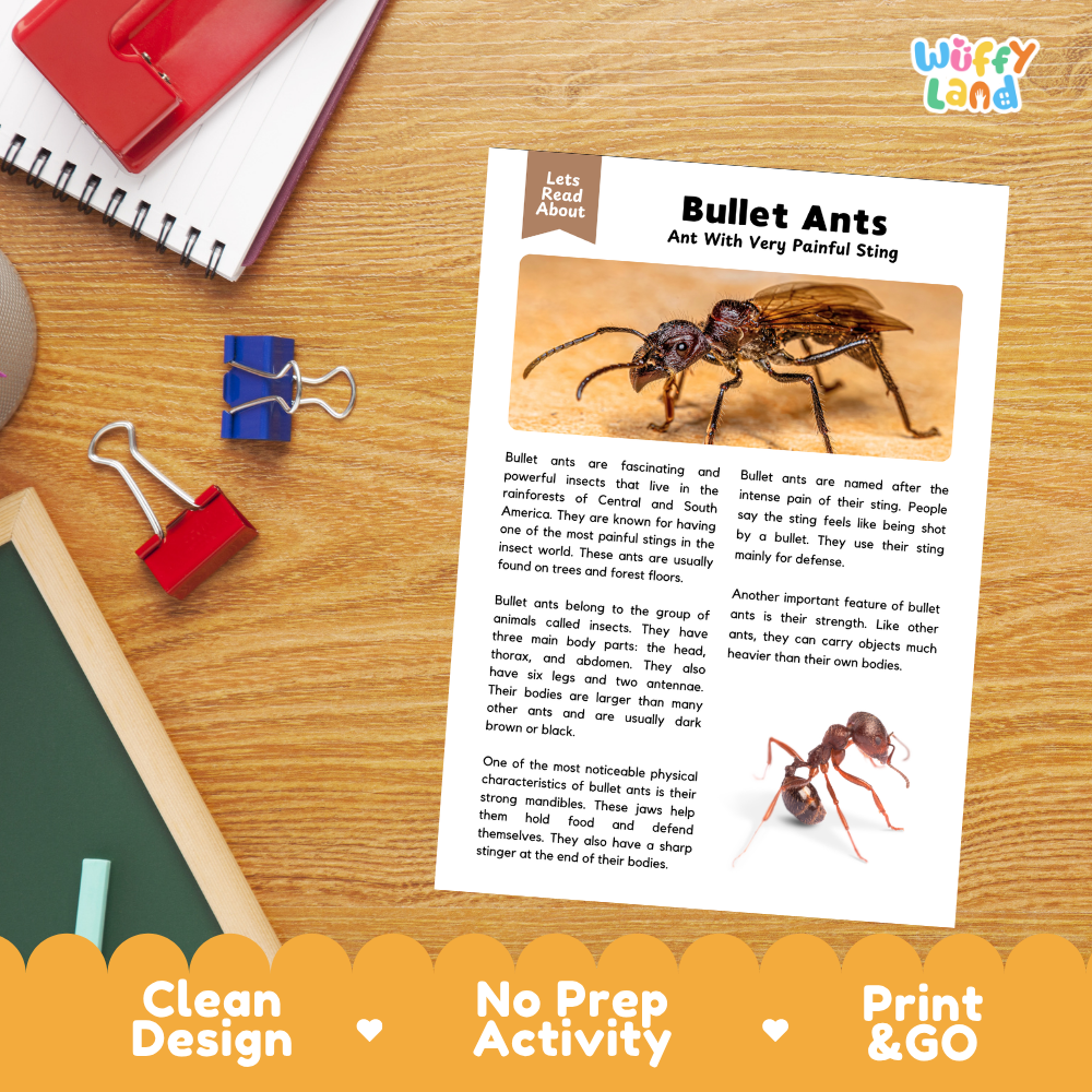 An educational activity sheet about bullet ants laid out on a wooden desk, with a red notebook, blue and red binder clips, and a yellow promotional banner at the bottom reading 'Clean Design', 'No Prep Activity', and 'Print & GO'.