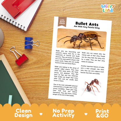 An educational activity sheet about bullet ants laid out on a wooden desk, with a red notebook, blue and red binder clips, and a yellow promotional banner at the bottom reading 'Clean Design', 'No Prep Activity', and 'Print & GO'.
