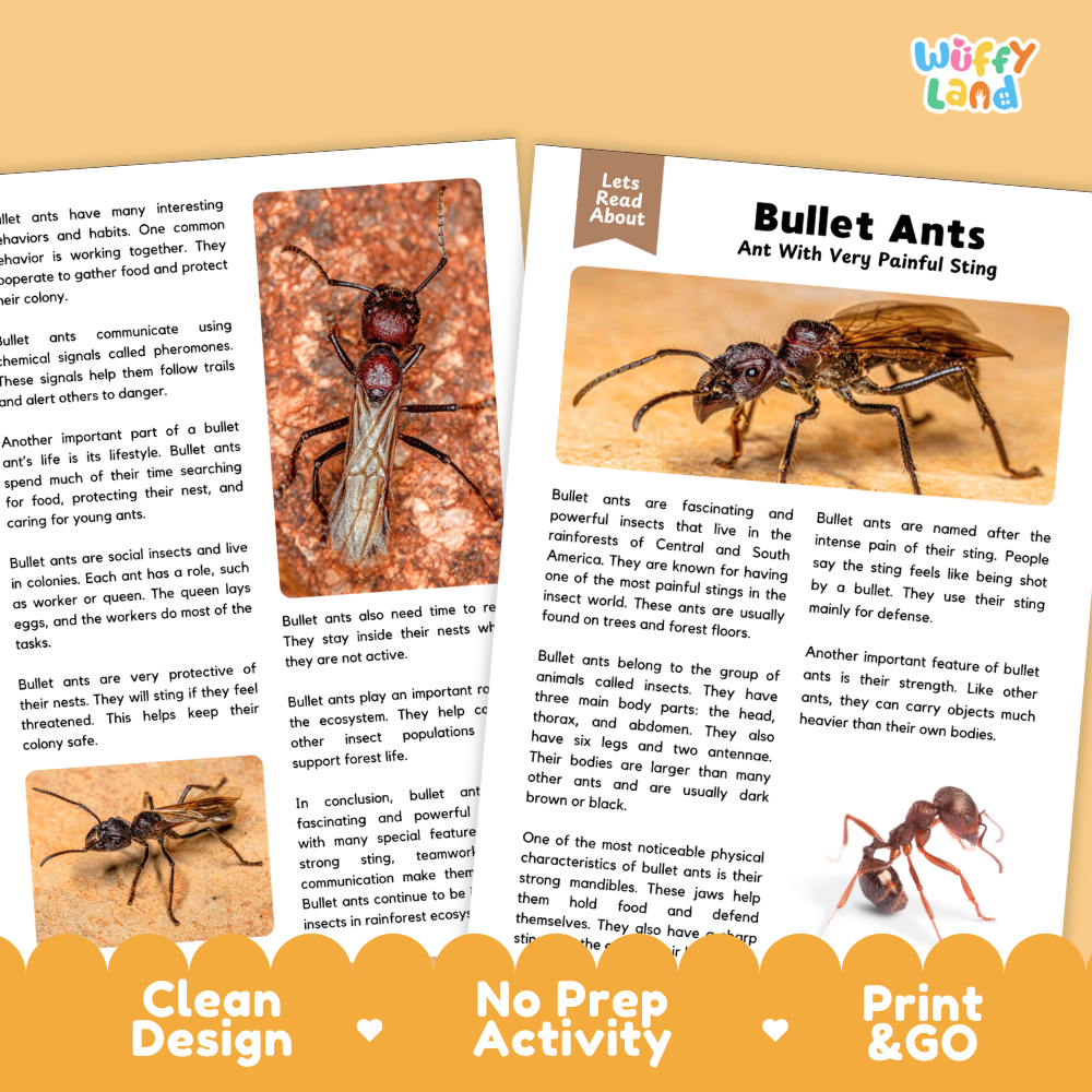 Two educational booklets about bullet ants displayed on a white background with an orange banner at the bottom. The booklets feature a photo of a real bullet ant on the cover and text about their social insects behavior.