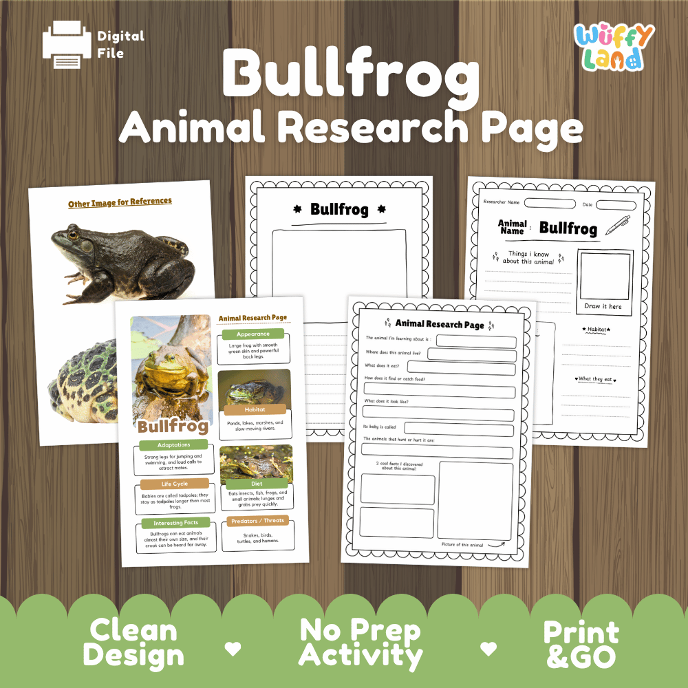 Bullfrog Animal Research Page Worksheets