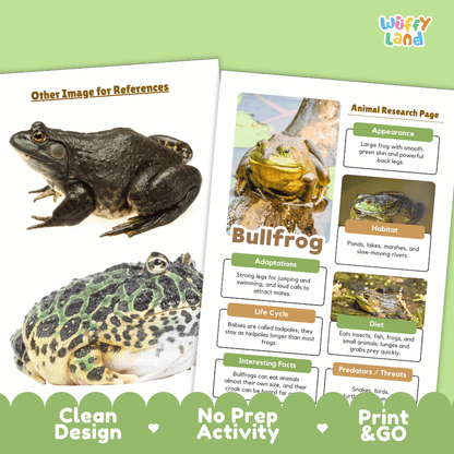 Bullfrog Animal Research Page Worksheets