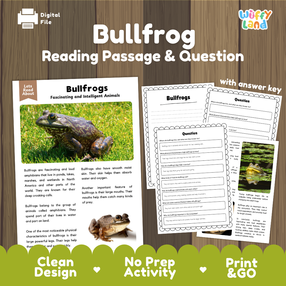 Bullfrog Reading Passage and Comprehension Questions Worksheets