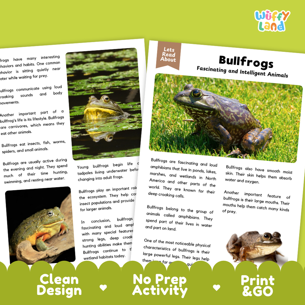 Bullfrog Reading Passage and Comprehension Questions Worksheets