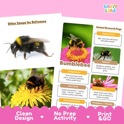 Bumblebee Animal Research Page Worksheets