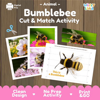Bumblebee Cut and Match Activity Printables Worksheets