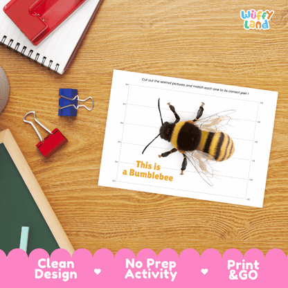 Bumblebee Cut and Match Activity Printables Worksheets