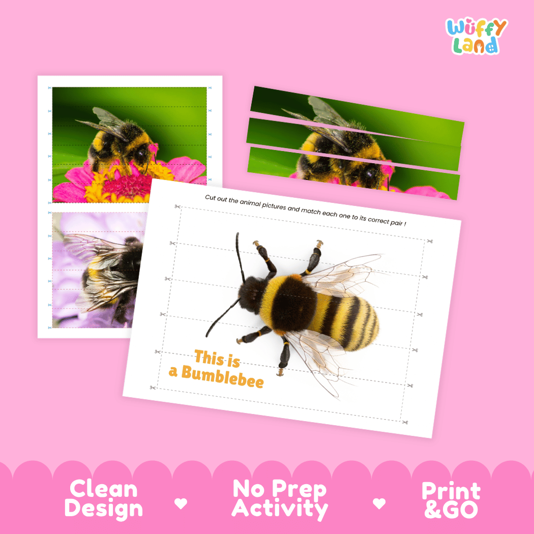 Bumblebee Cut and Match Activity Printables Worksheets