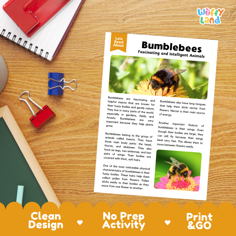 A printed educational worksheet titled 'Bumblebees Fascinating and Intelligent Animals' laid on a wooden desk, surrounded by a spiral notebook, red notebook pages, blue binder clips, and a yellow 'Wiffly Land' logo at the top. The page includes text about bumblebees and a small bumblebee-and-flower photo.