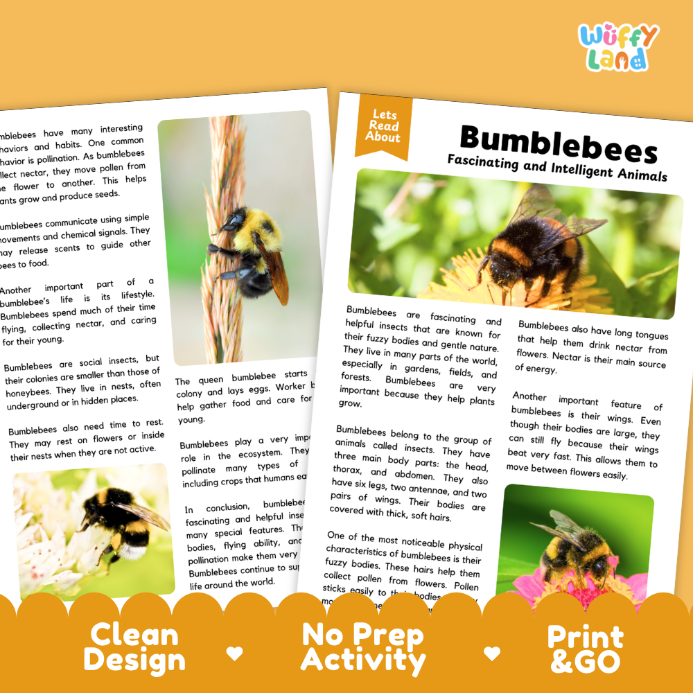 Two educational activity sheets about bumblebees from the brand Wiffly Land, featuring text panels and a central illustration of a bumblebee on a leaf. The sheets are displayed on a white background with decorative orange and green banners at the bottom.