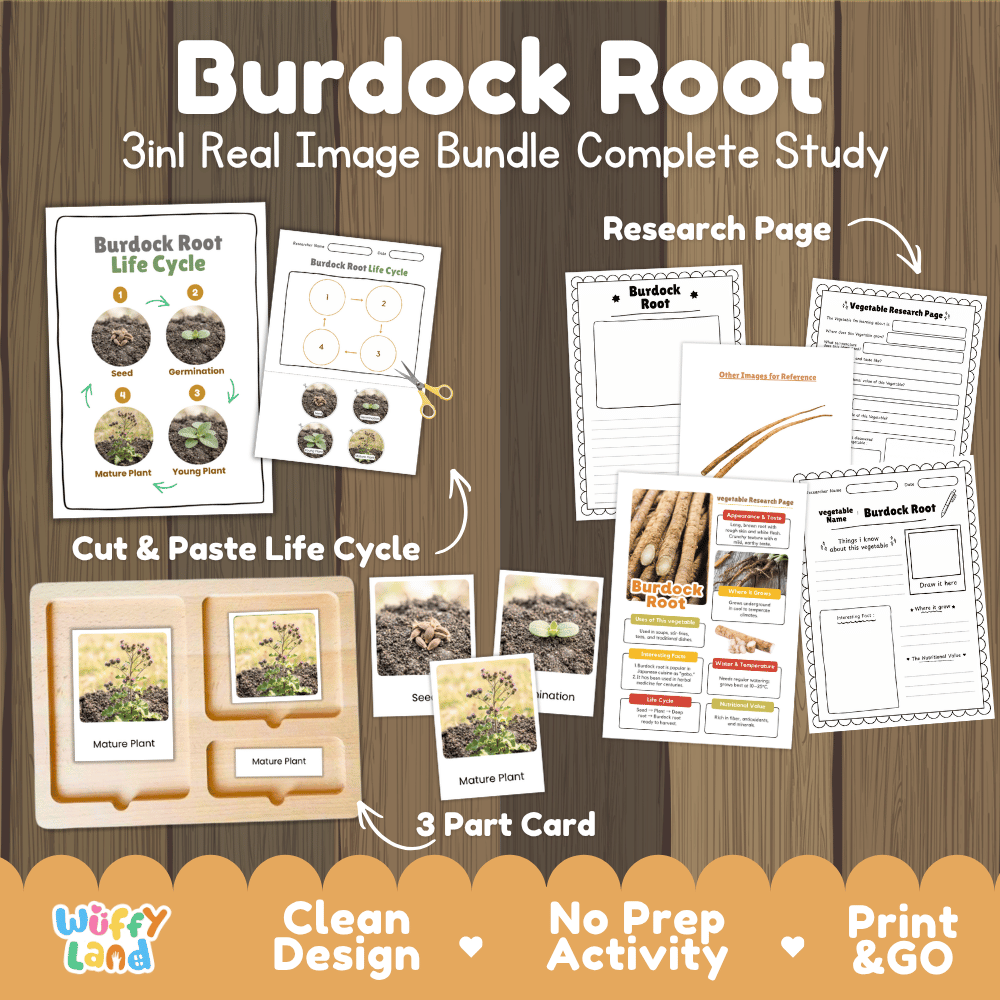 Burdock root 3in1 real image bundle complete study printable featuring life cycle cut and paste worksheets, Montessori 3-part cards, and research pages