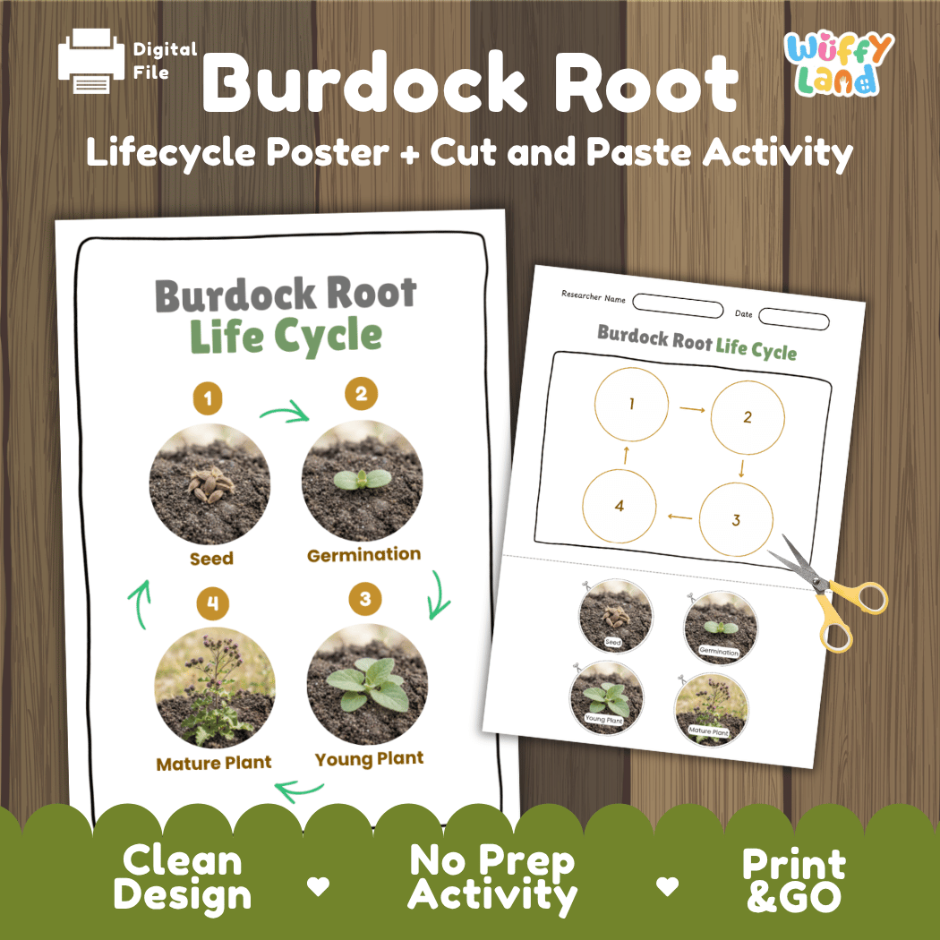 Burdock root plant life cycle educational printable pack cover showing visual reference poster and cut and paste sequencing worksheet with real photography