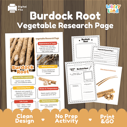 Student vegetable research page writing worksheets with real long burdock gobo root photos, lined note-taking prompts, and drawing frames
