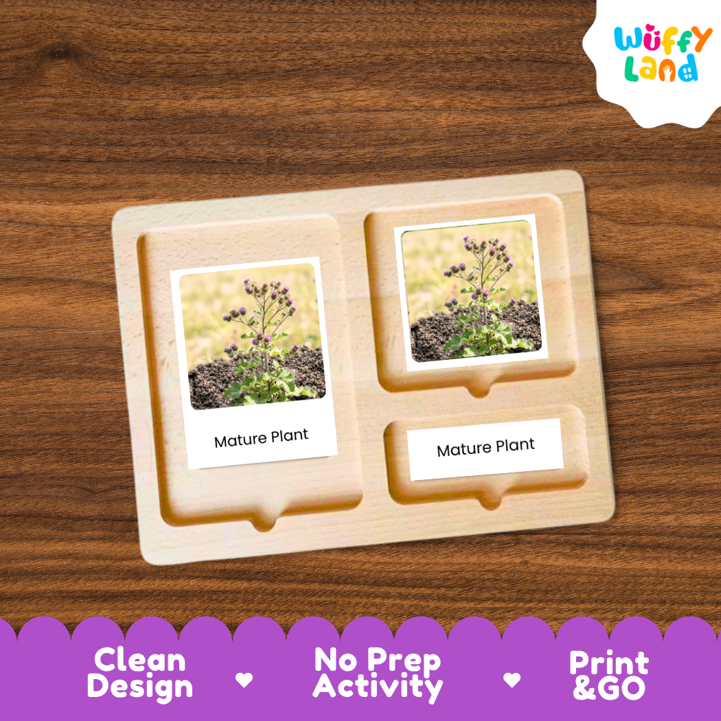 A wooden Montessori-style activity tray with two labeled slots reading 'Mature Plant,' each holding a small printed photo of a plant. The tray is shown on a wood-grain background, with a Wuffy Land logo in the top right and a purple banner at the bottom with marketing text.