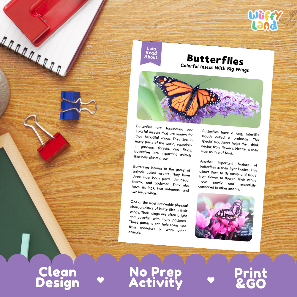 An educational activity sheet titled 'Butterflies Colorful Insect With Big Wings' from the brand 'Wiffly Land', displayed on a white background with a purple banner at the bottom reading 'Clean Design', 'No Prep Activity', and 'Print & GO'.