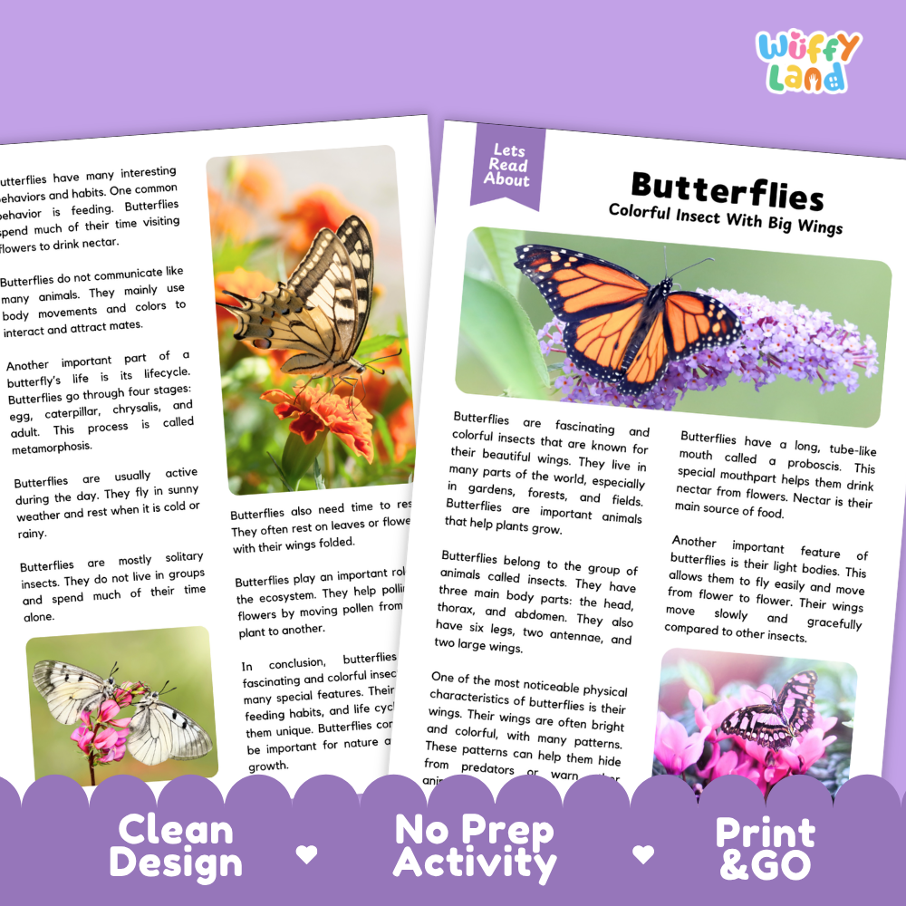Three educational butterfly fact cards displayed on a white background with decorative purple banners at the bottom. The cards feature colorful illustrations of butterflies and text such as 'Butterflies Colorful Insect With Big Wings' and 'Let's Talk About Butterflies.