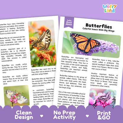 Three educational butterfly fact cards displayed on a white background with decorative purple banners at the bottom. The cards feature colorful illustrations of butterflies and text such as 'Butterflies Colorful Insect With Big Wings' and 'Let's Talk About Butterflies.