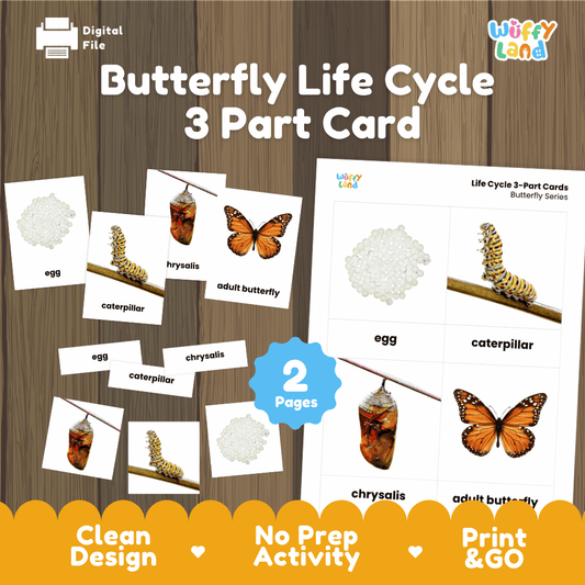 Butterfly life cycle 3 part cards printable Montessori biology activity pack overview from Wuffy Land featuring real photography cards 🦋✨