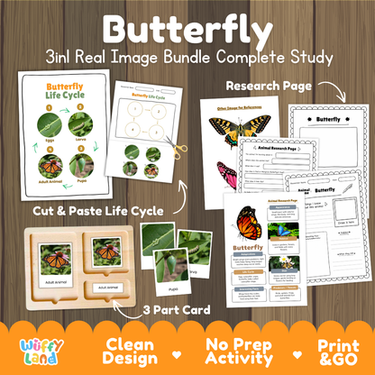 Butterfly 3-in-1 real image bundle complete study cover showing cut and paste life cycle, 3 part cards, and research pages