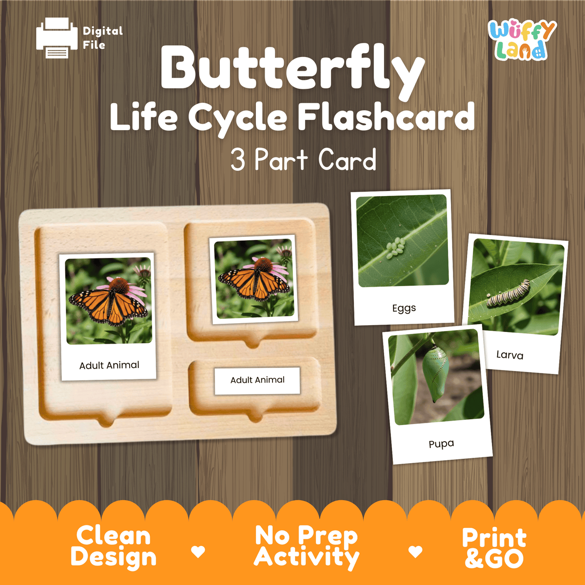Montessori 3-part photo cards for butterfly life cycle shown on wooden tray paired with animal research report worksheets and reference photo page
