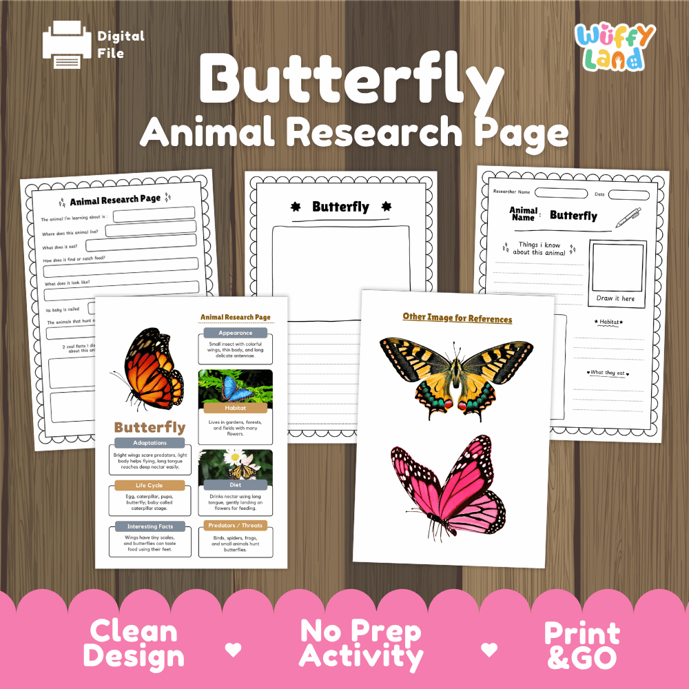 Clean design no prep print and go butterfly insect life cycle study printable PDF pack for elementary science