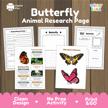 Clean design no prep print and go butterfly insect life cycle study printable PDF pack for elementary science